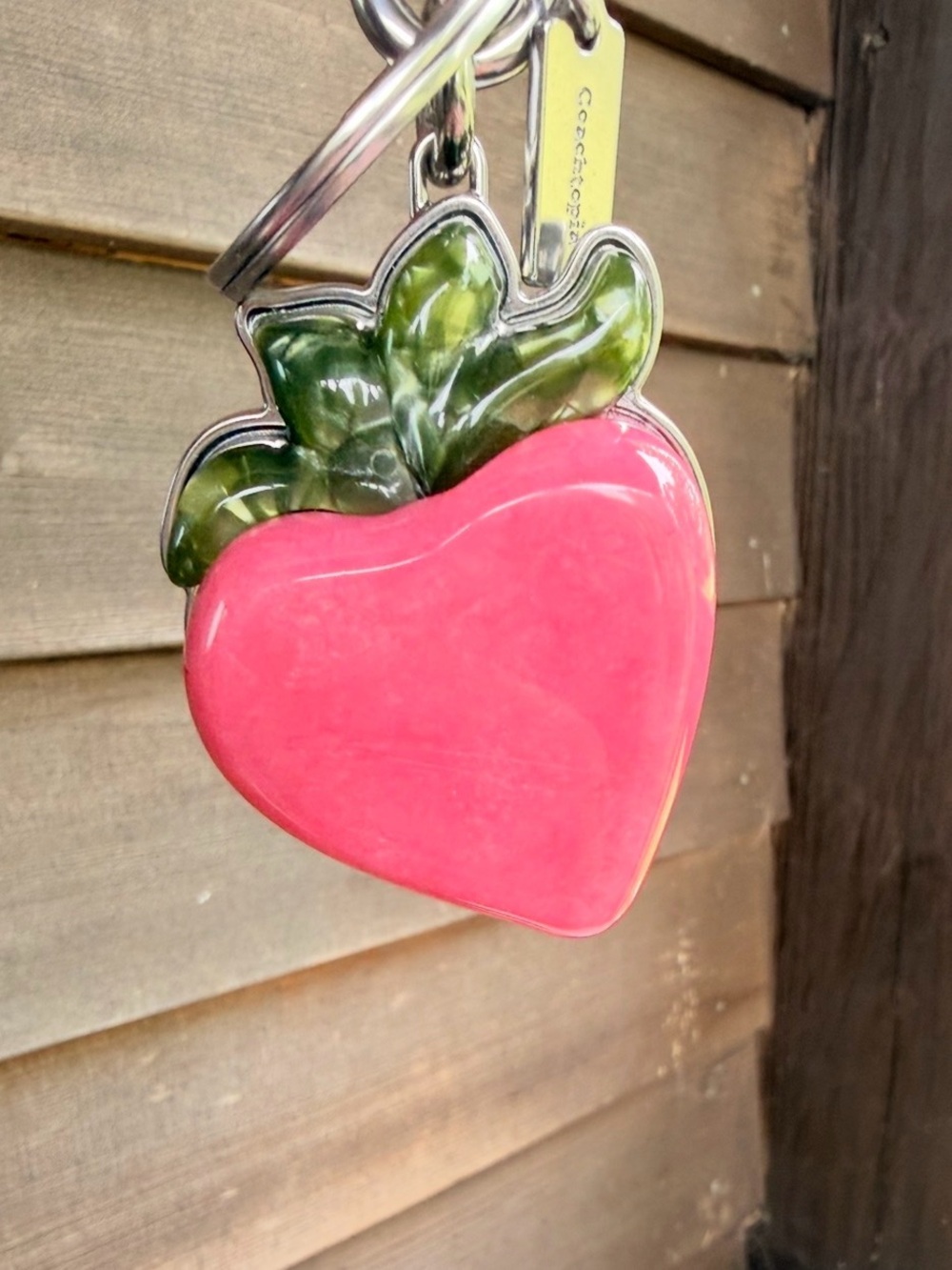 Coachtopia Resin Strawberry Bag Charm Keychain